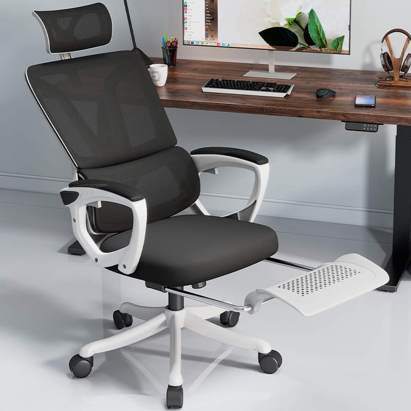 Ghế Công Thái Học Cao Cấp TMS08